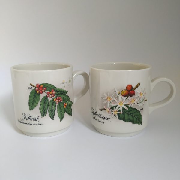 Mok 2 stuks – set prijs Vintage Villeroy & Boch koffiebloesem en koffietak (1)