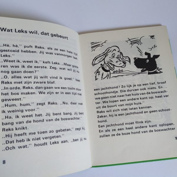 Boek Leks en Reks de kabouter en de dief (3)