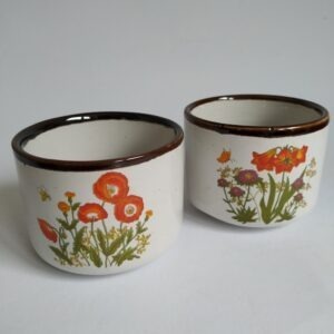 Vintage kommetjes met afbeelding van wilde bloemen