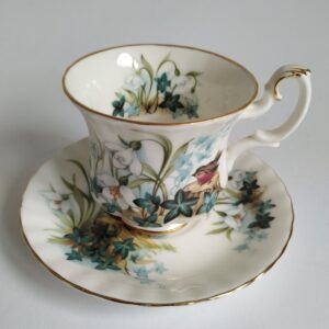 Vintage kop en schotel van Royal Albert, country life series, Ivy Glade