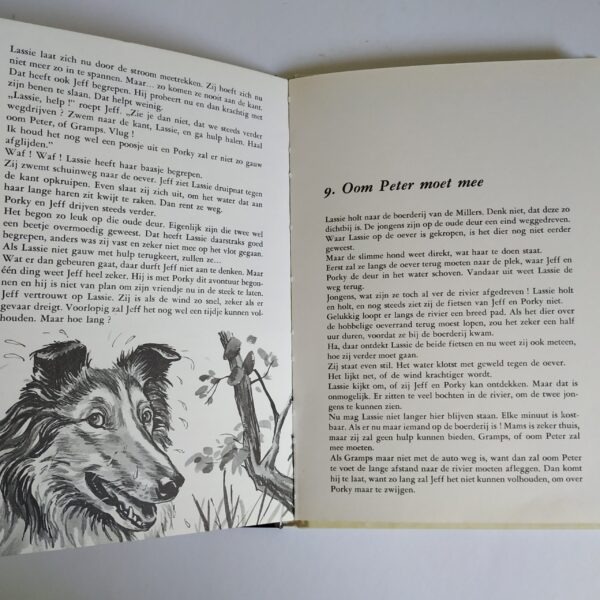 Boek Lassie brengt redding – 1960 (6)