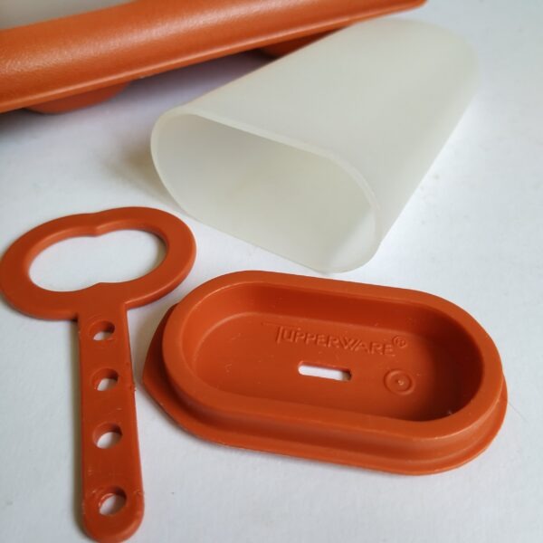 IJsjesmaker van Tupperware – ijslollies (8) met houder (1)