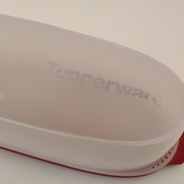 Worstbox Tupperware – 27,5x9x8,5 cm – transparant-rood(5)