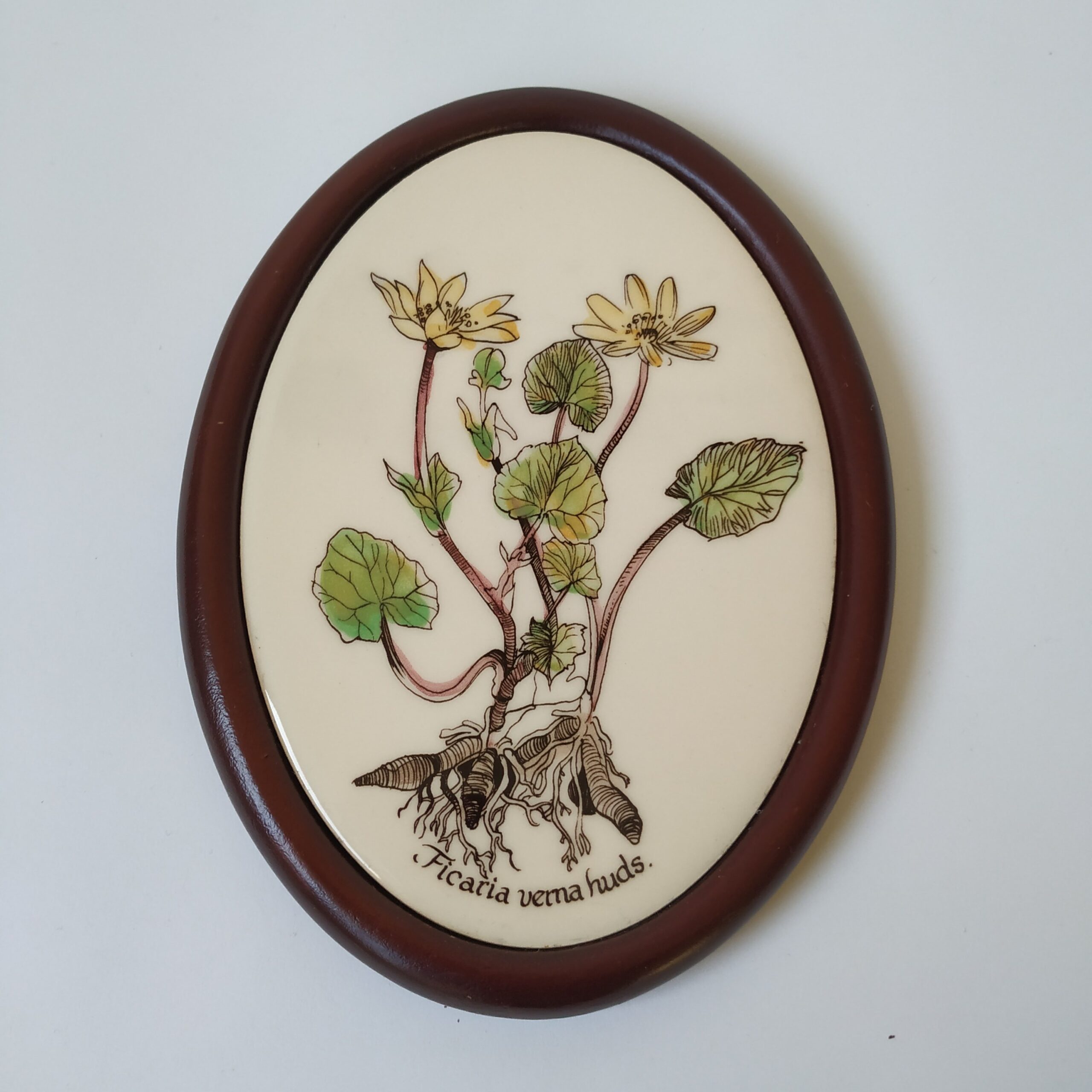 Wandtegel bloem Ficaria verna huds – kunststof bruine lijst – 17,5x13x1,5 cm (1)