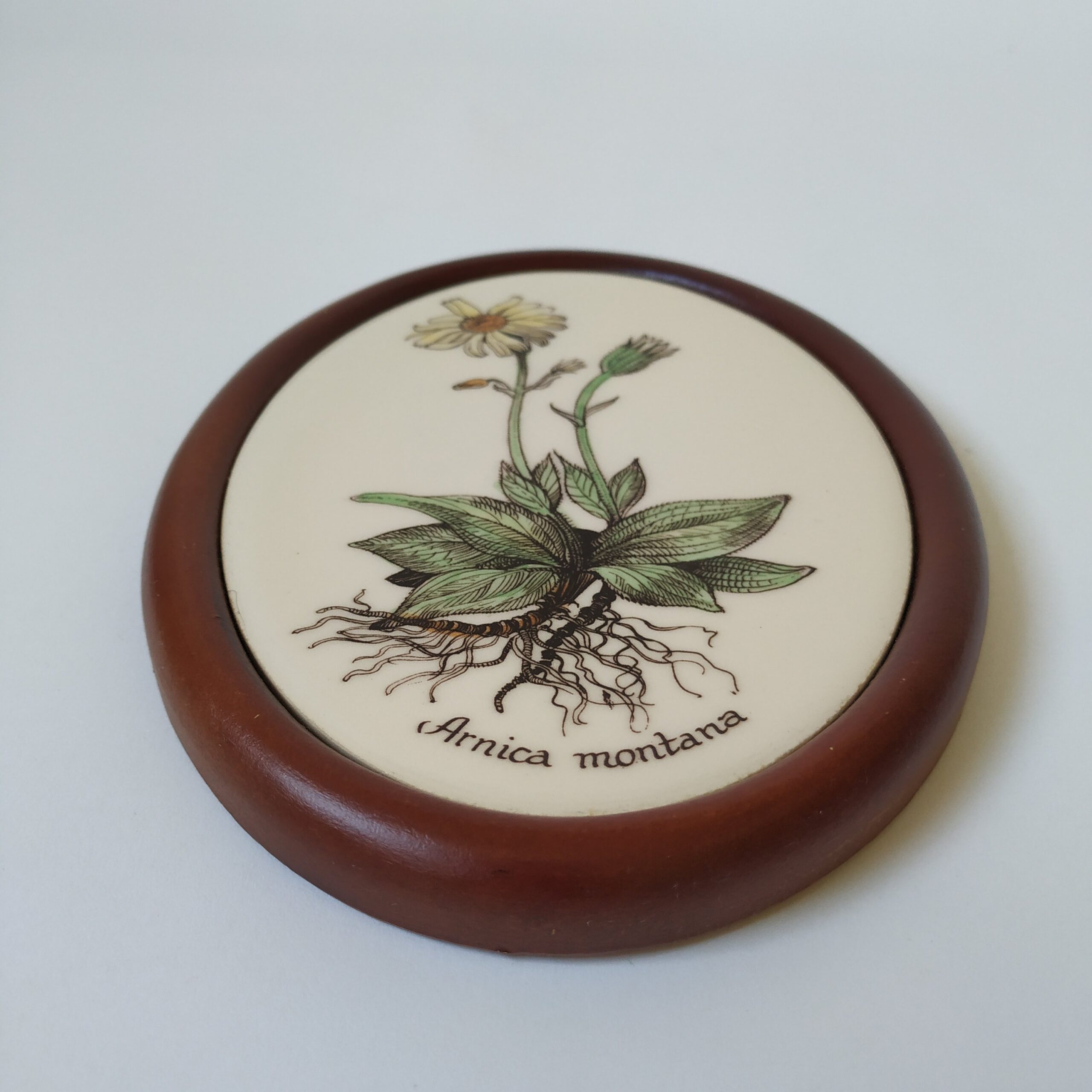 Wandtegel bloem-plant Arnica montana – kunststof bruine lijst (houtlook) – 17,5x13x1,5 cm (2)