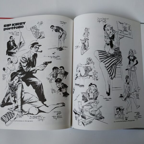 Vintage stripboek Rip Kirby 2 uit 1982
