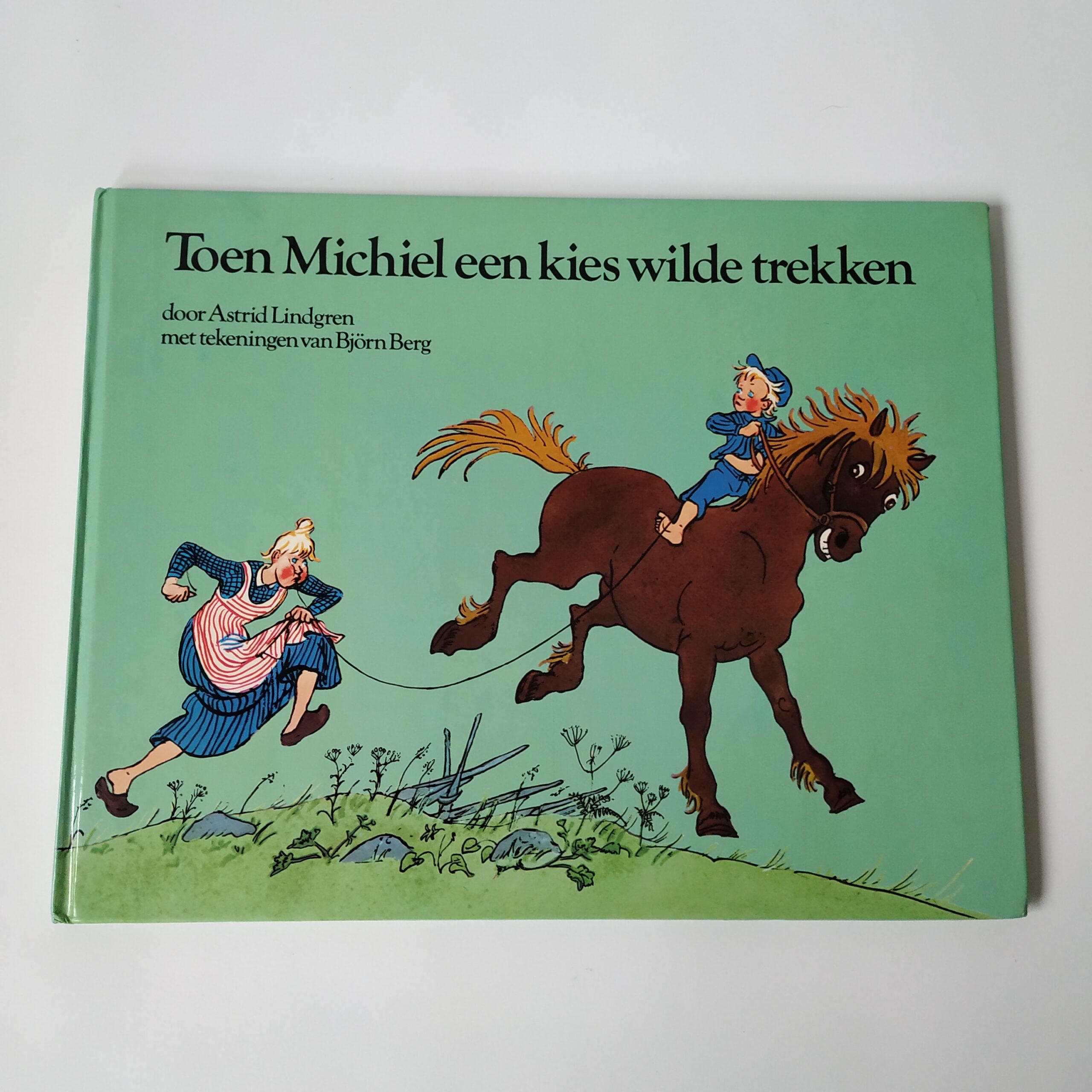 Vintage (hardcover) boek Toen Michiel een kies wilde trekken uit 1981