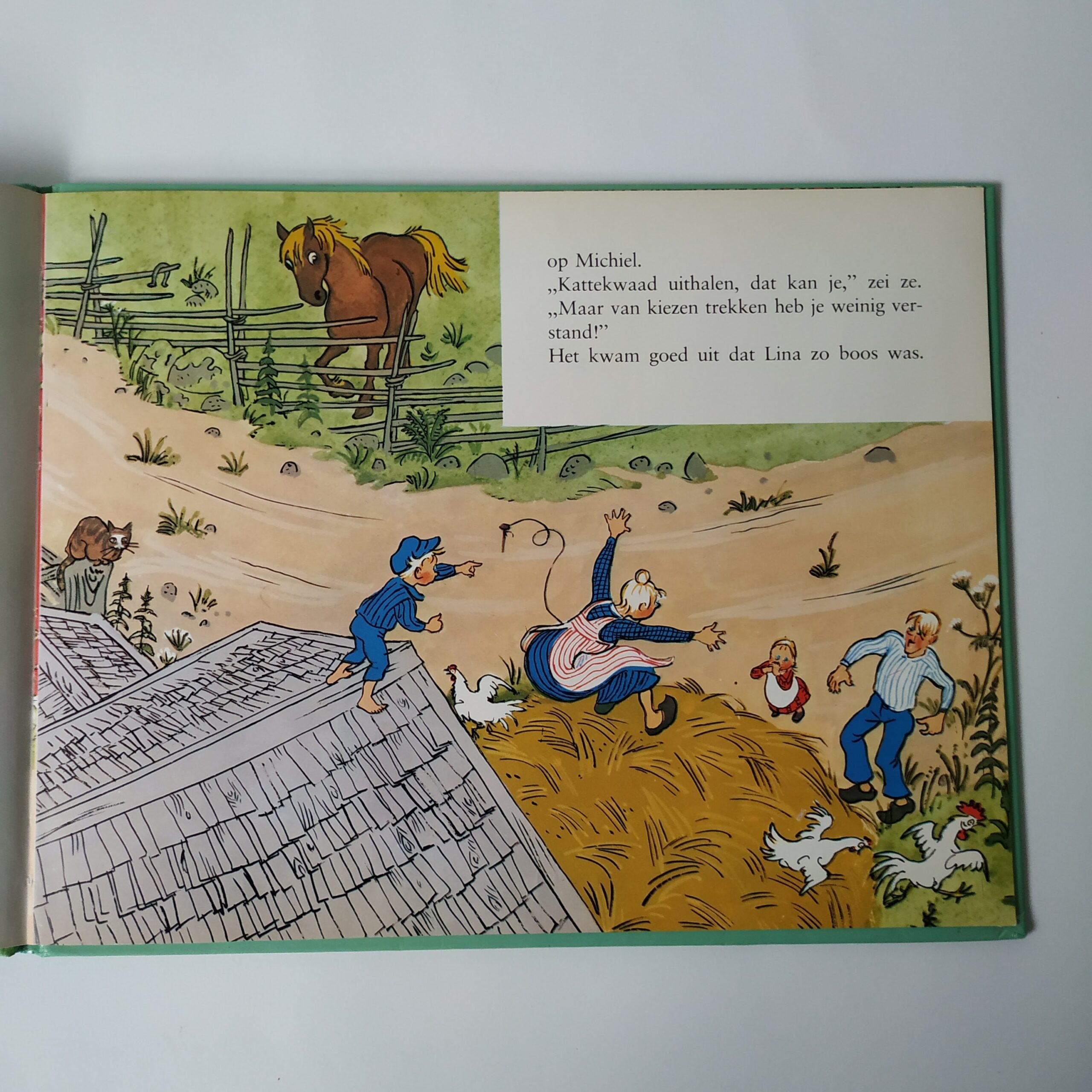 Boek (hardcover) Toen Michiel een kies wilde trekken – uit het jaar 1981 – door Astrid Lindgren (9)