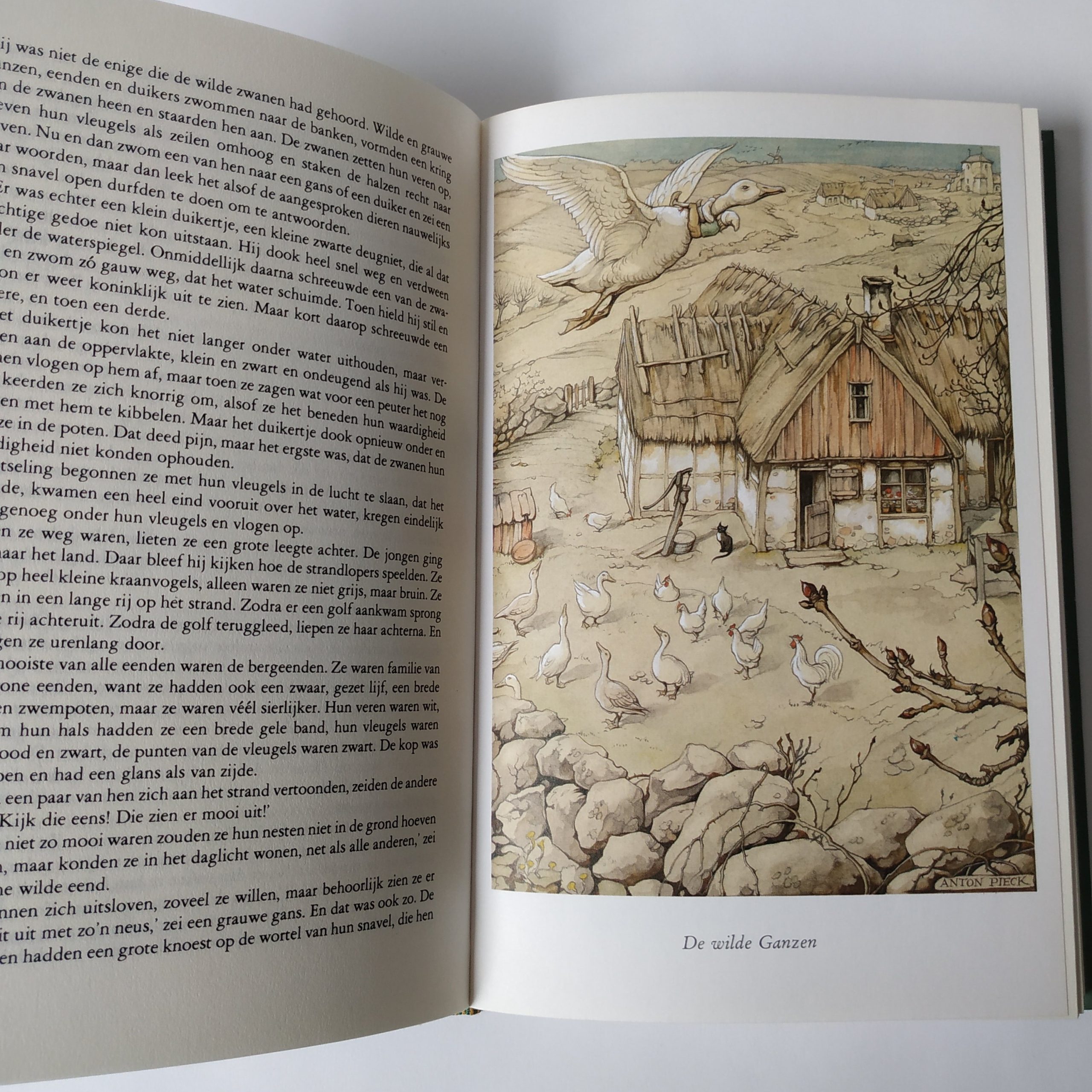 Boek Niels Holgerssons wonderbare reis – geschreven door selma lagerlof – hardcover (6)