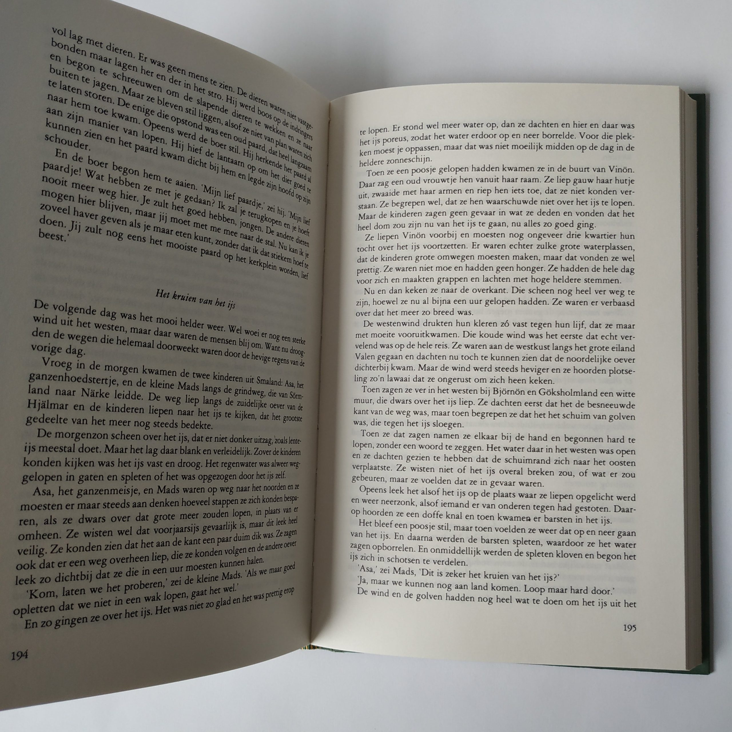 Boek Niels Holgerssons wonderbare reis – geschreven door selma lagerlof – hardcover (7)