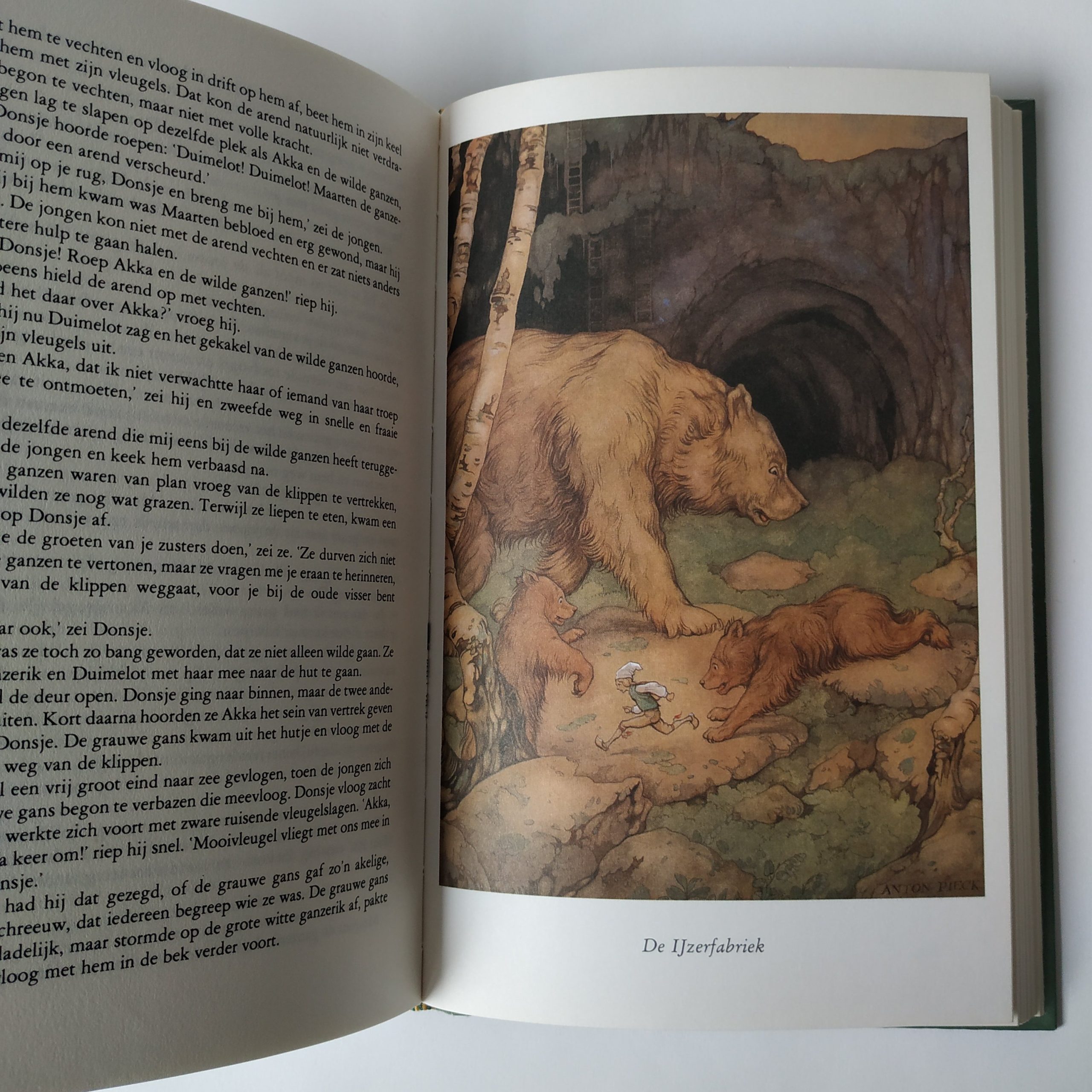 Boek Niels Holgerssons wonderbare reis – geschreven door selma lagerlof – hardcover (8)