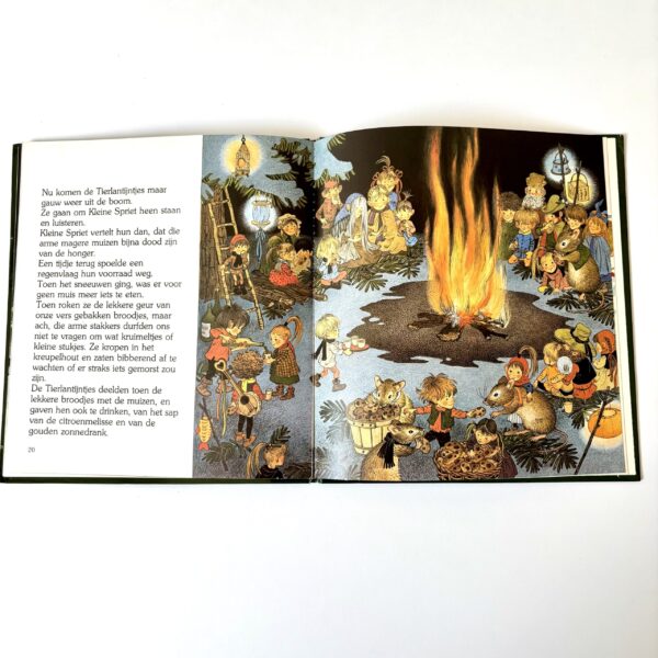 Boek De Tierlantijntjes vieren feest uit 1984 (5) Boek De Tierlantijntjes vieren feest uit 1984 (5)