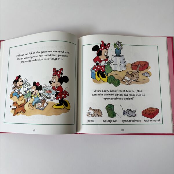 Box Walt Disney met 4 boeken Zó heet dat! uit 1999 (6)