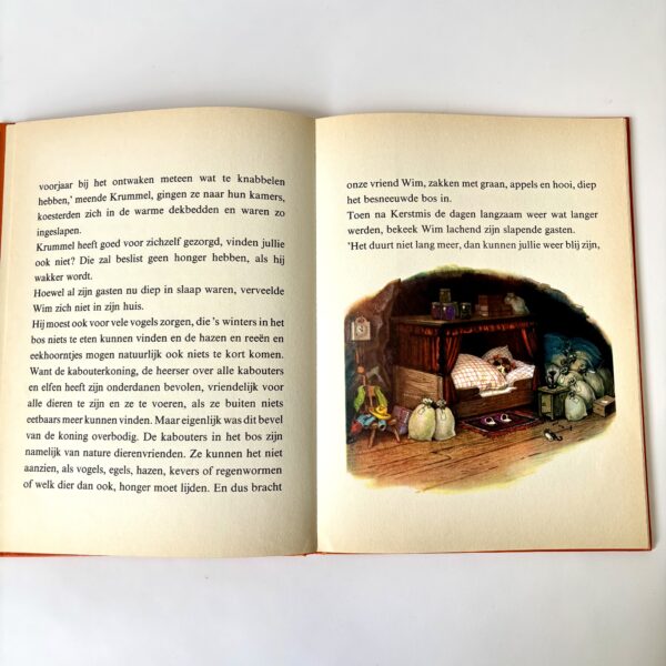 Boek Feesten in kabouterland met illustraties van Fritz Baumgarten (3)