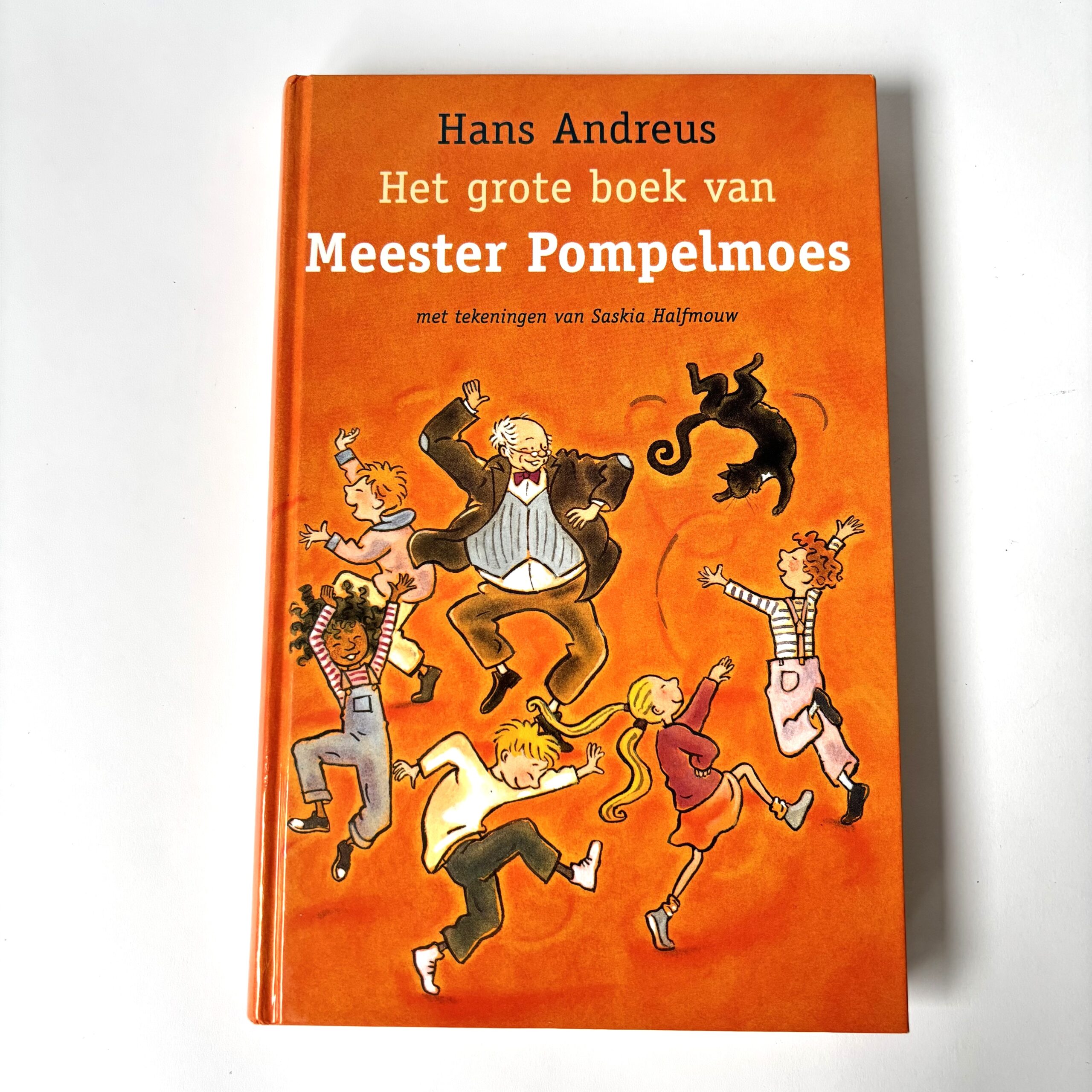 Het grote boek van Meester Pompelmoes