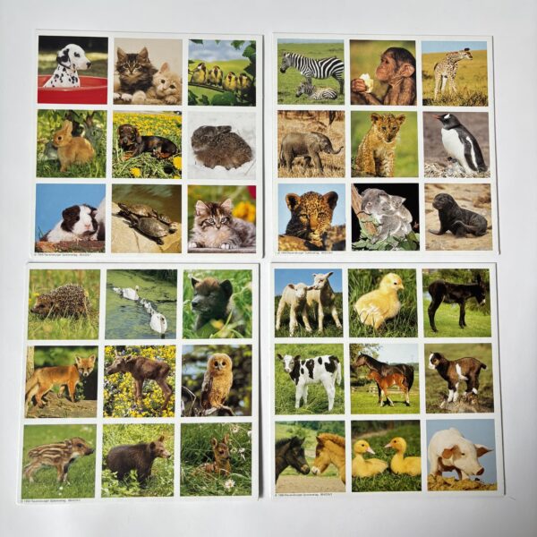 Lotto van Ravensburger uit 2003 (3)