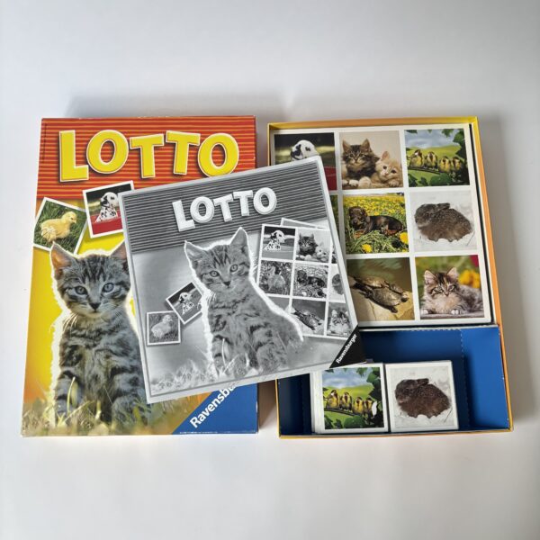 Lotto van Ravensburger uit 2003 (5)