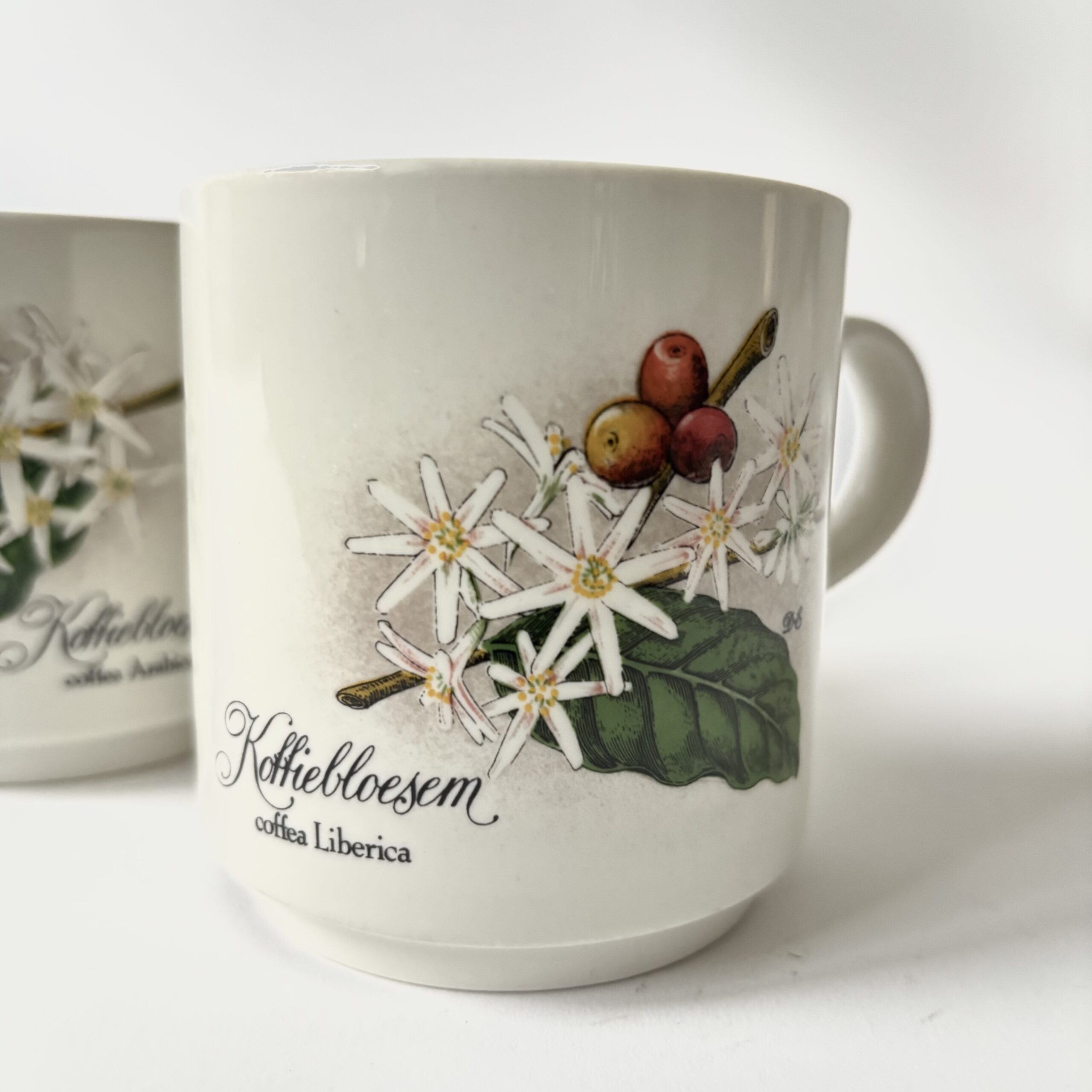 Koffie mokken Villeroy & Boch koffiebloesem – 2 stuks – inhoud 200ml (5) Koffie mokken Villeroy & Boch koffiebloesem – 2 stuks – inhoud 200ml (5)