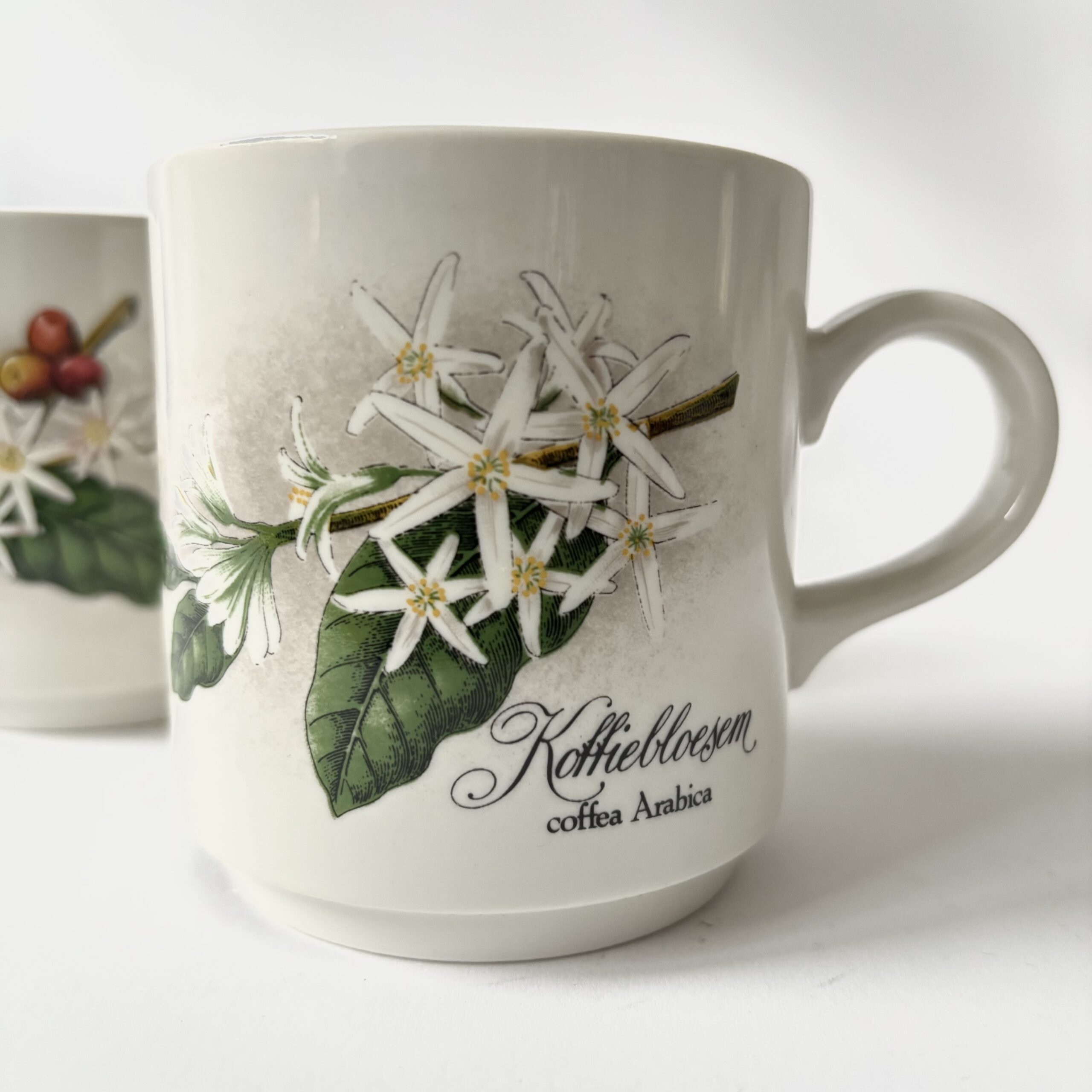 Koffie mokken Villeroy & Boch koffiebloesem – 2 stuks – inhoud 200ml (6) Koffie mokken Villeroy & Boch koffiebloesem – 2 stuks – inhoud 200ml (6)