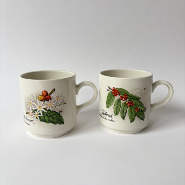 Koffie mokken - bekers van Villeroy & Boch - koffietak-koffiebloesem - 2 stuks (1) Vintage crèmekleurige mokken/bekers van Villeroy & Boch Septfontaines met afbeeldingen van een koffietak en bloesem