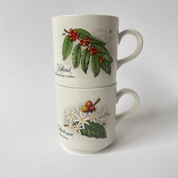 Koffie mokken - bekers van Villeroy & Boch - koffietak-koffiebloesem - 2 stuks (5) Koffie mokken - bekers van Villeroy & Boch - koffietak-koffiebloesem - 2 stuks (5)